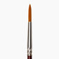 Camlin Camel Synthetic Gold Brushes Individual Brush Round - Series 66