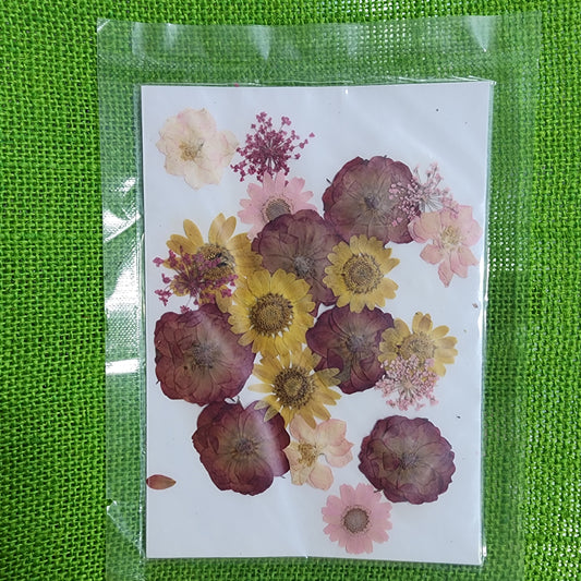 Natural Dried Flower