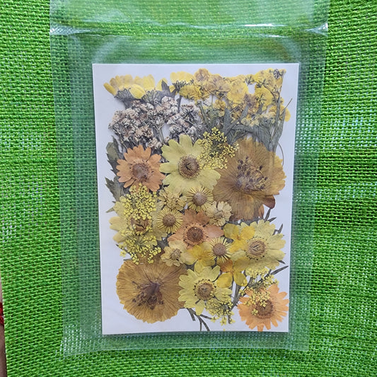 Natural Dried Flower