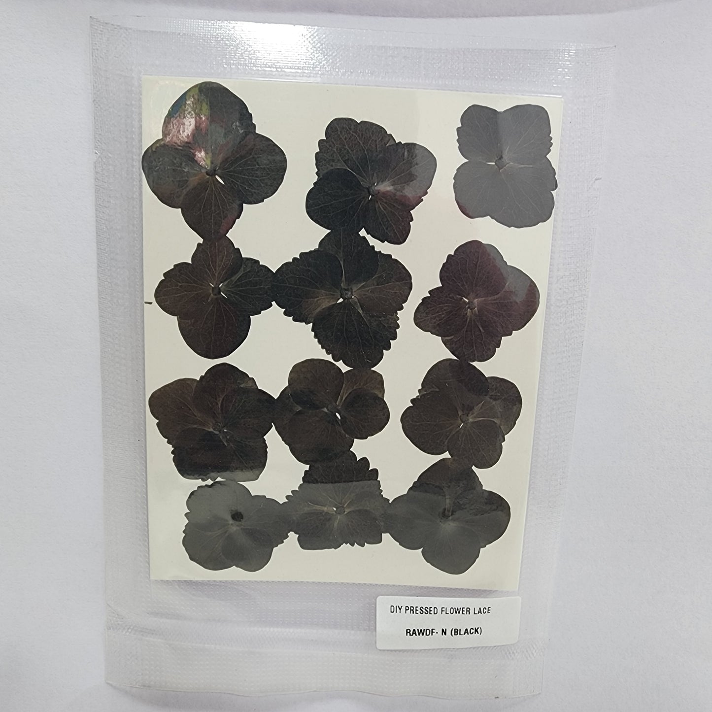 Natural Dried Pressed Flower - 4 Kali / Hydregans