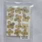 Natural Dried Pressed Flower - 4 Kali / Hydregans