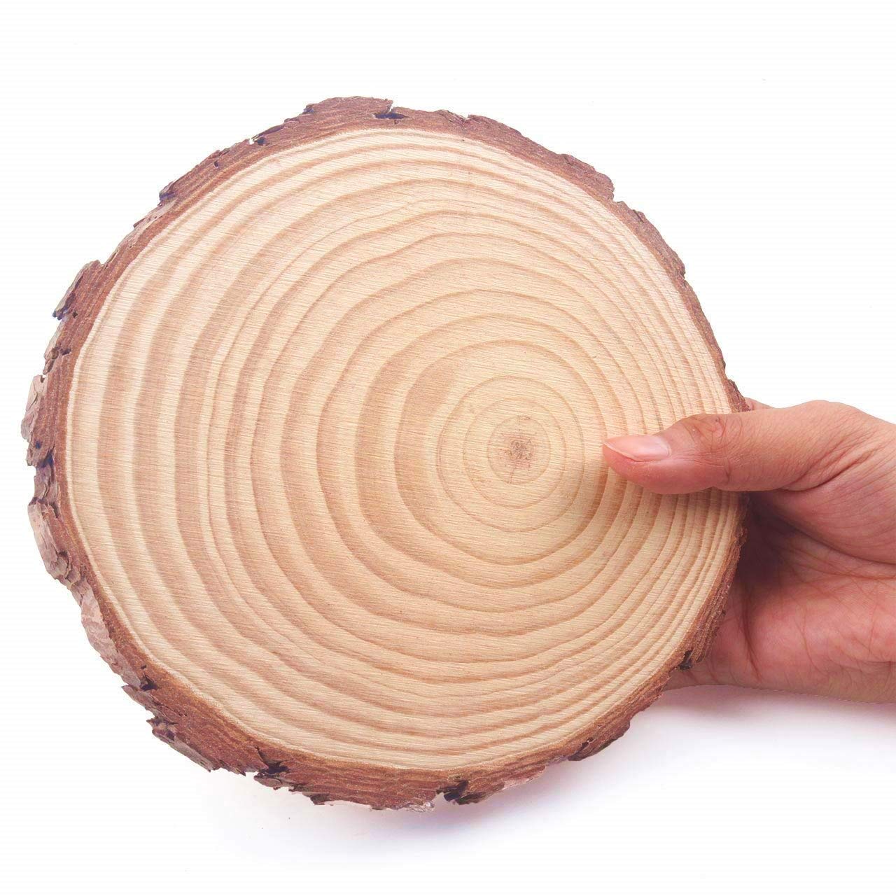 Natural Wooden Slice Round 22-25x2cm