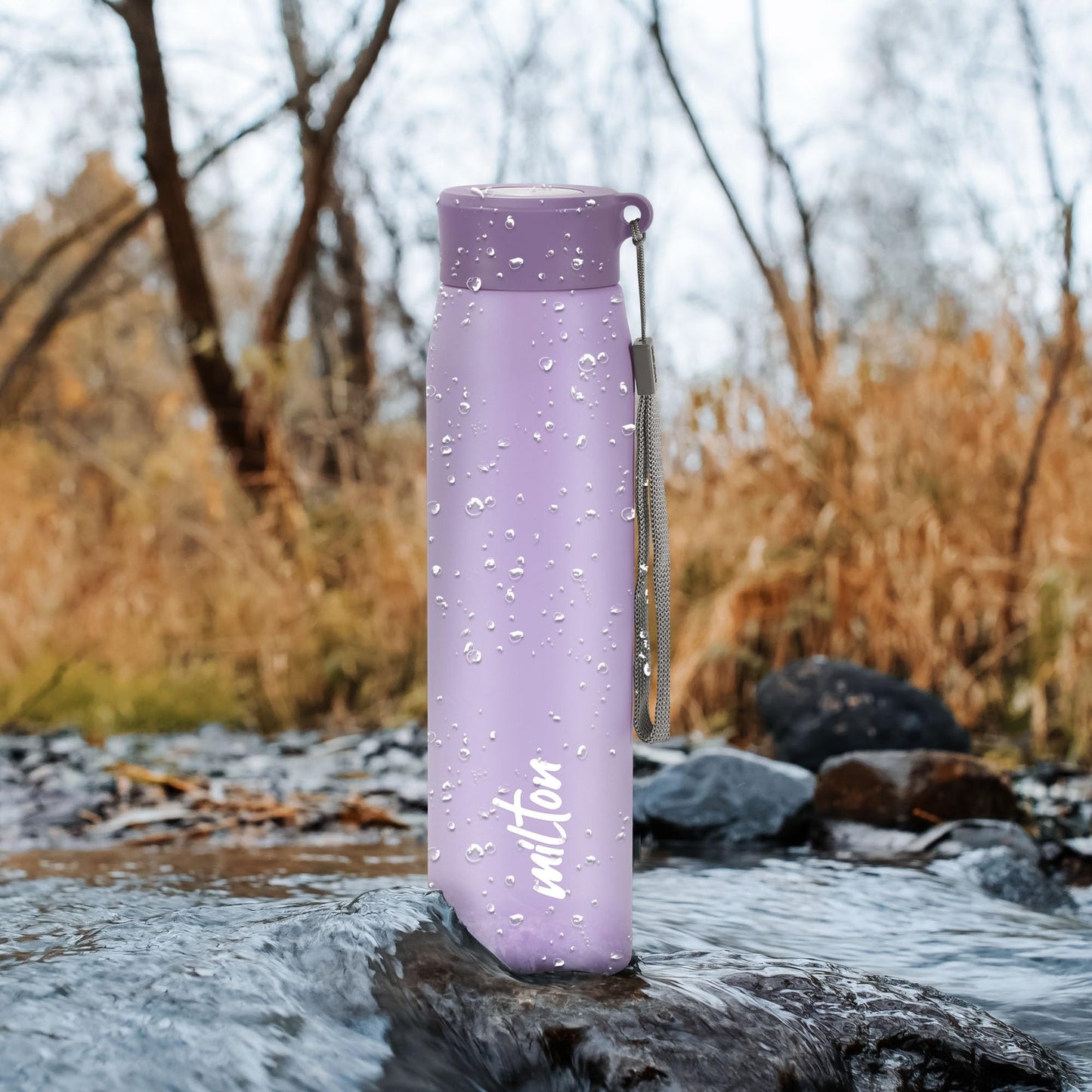 Milton Handy 850 Stainless Steel Water Bottle, 780 ml water bottles, Single walled, Leak-Proof, Rust-free Steel Bottle, Easy Grip, Easy to Carry, Travel Bottle, Purple