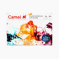 Camel Fluid Acrylic Colours 18 Shades of 50ml Multicolor