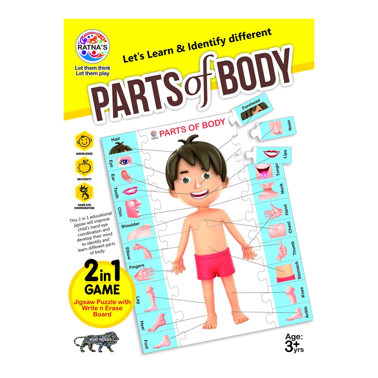 Ratna's Parts of Body Jigsaw Puzzle for Kids with 2 in 1 Write and Wipe Board with Body Parts