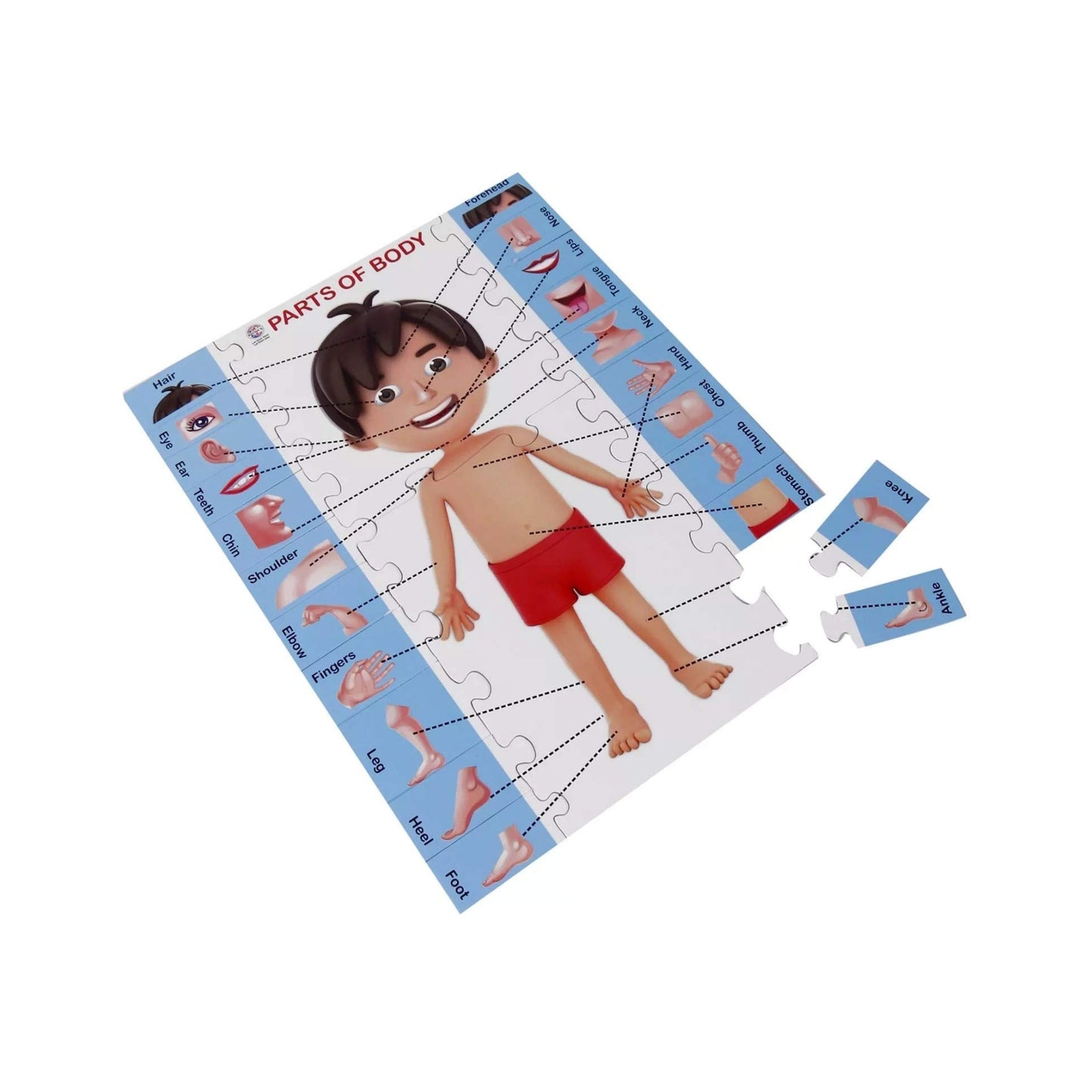 Ratna's Parts of Body Jigsaw Puzzle for Kids with 2 in 1 Write and Wipe Board with Body Parts