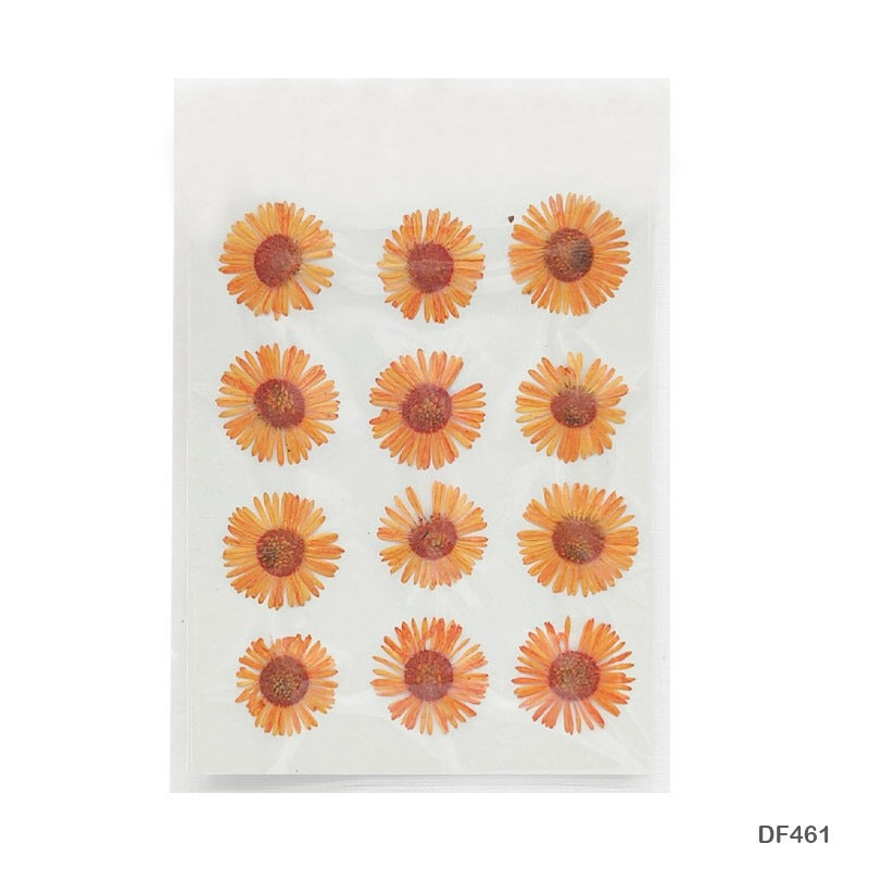 Natural Dried Pressed Chrysanthemum