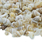 Seashell Sangv - 100 Grams